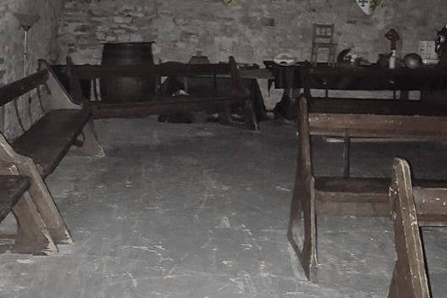 Dudley Castle benches