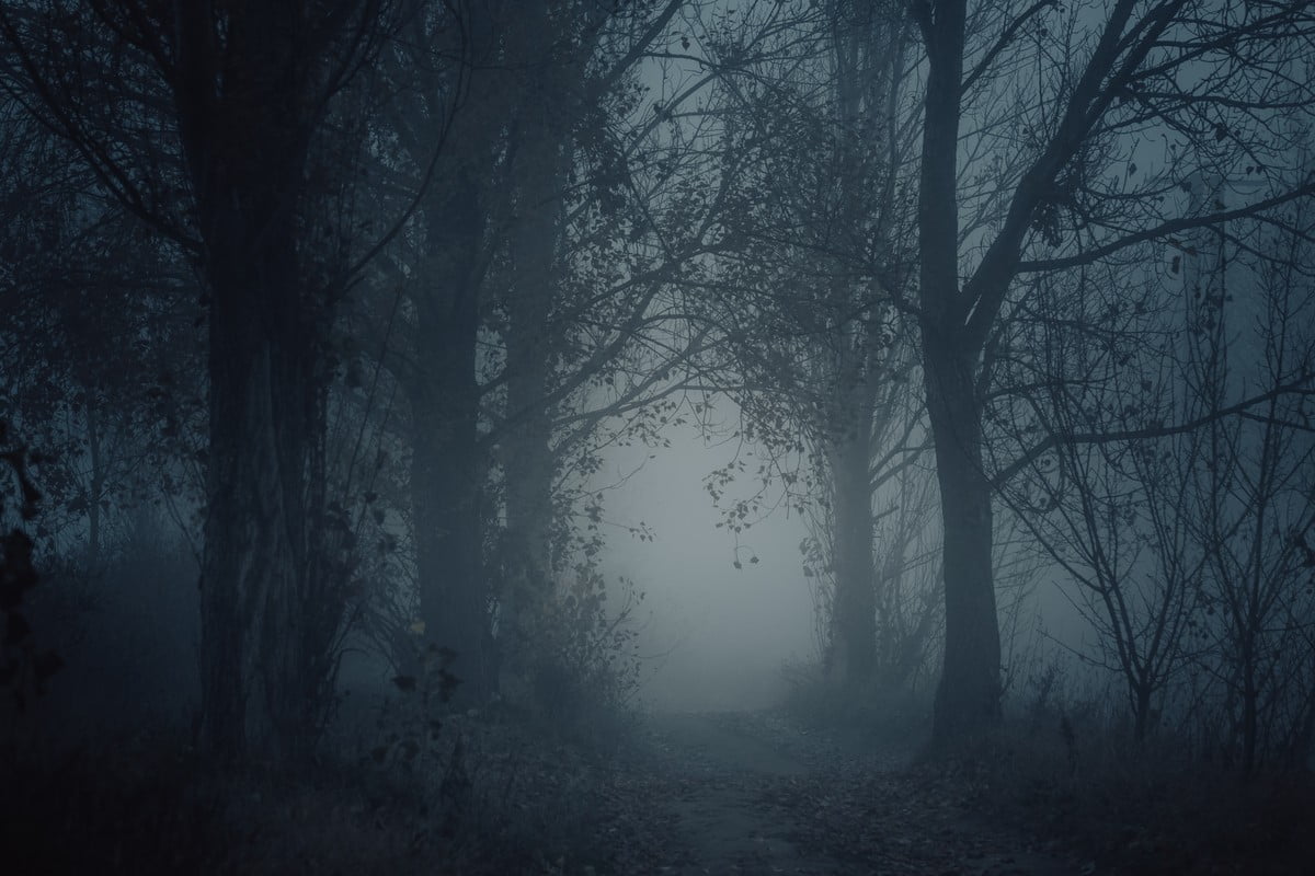 Ireland’s Most Haunted Locations - Our Top Three 2 Ballybolley Forest Haunted. a dark spooky wood that is set in Ireland, Western Europe. Ireland’s Most Haunted Locations