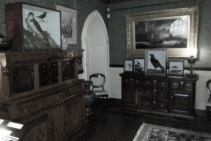 Smithills Hall stuffed birds